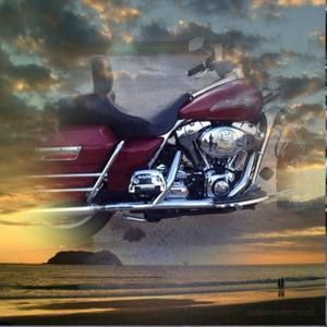 Meet your Posher, Jerry